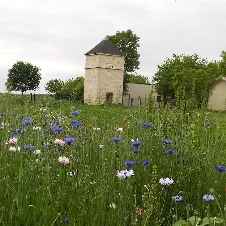 Bed & Breakfast D'hotes Chateau Pierre De Montignac