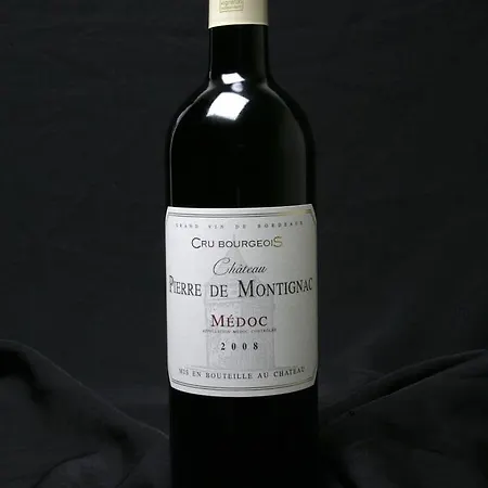 D'hotes Chateau Pierre De Montignac 3* Civrac-en-Medoc