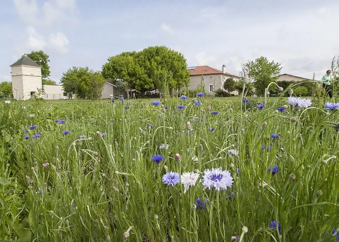 D'hotes Chateau Pierre De Montignac Bed & Breakfast 3*