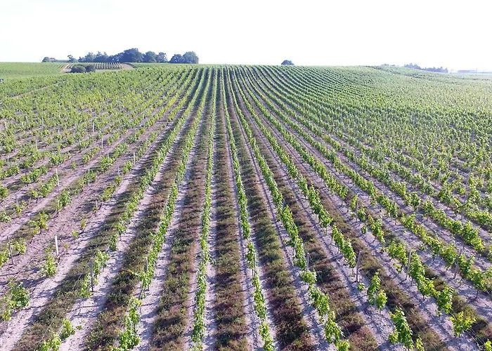 Bed & Breakfast D'hotes Chateau Pierre De Montignac 3*